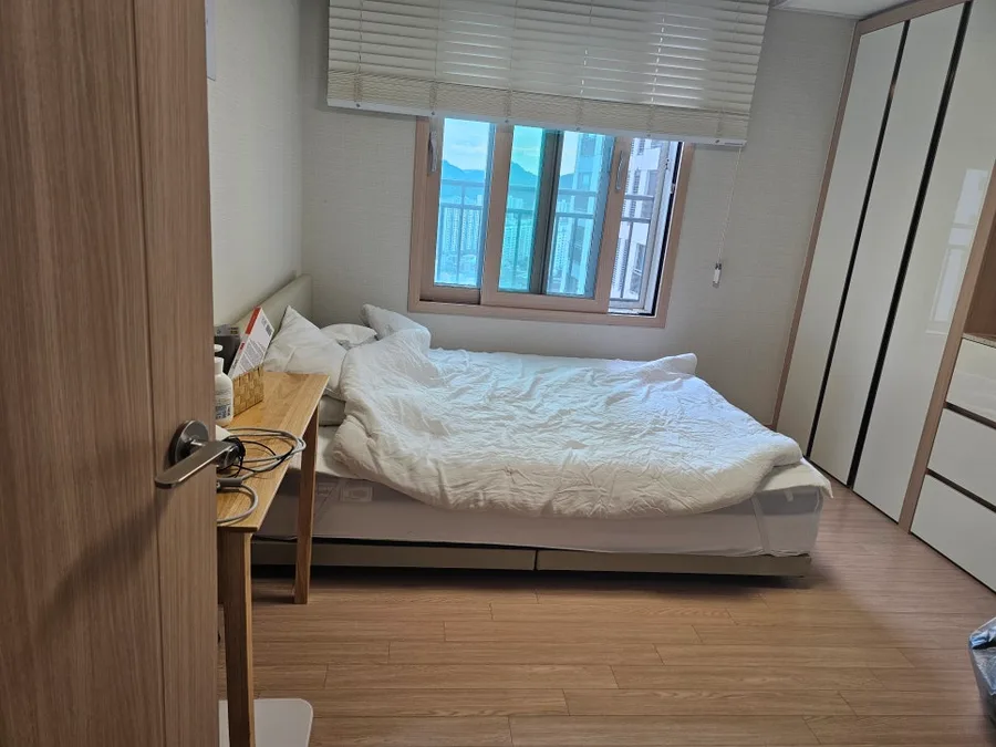 손없는날 주말 포장이사비용 견적 높아지는 이유